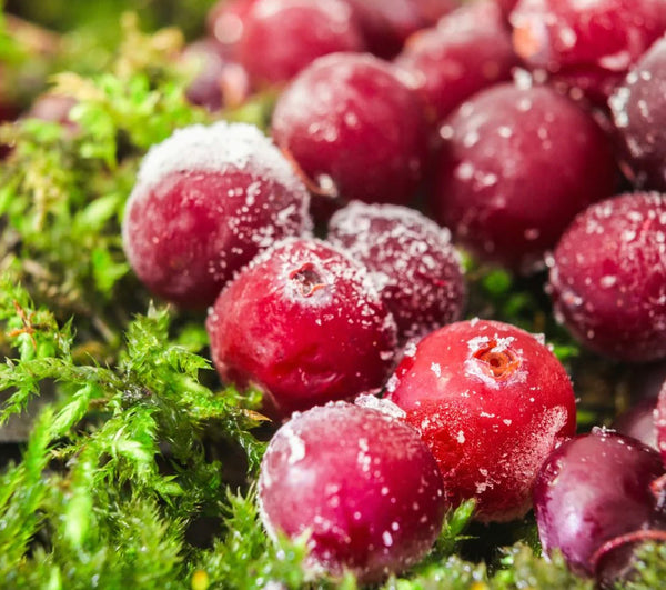 Frosted Cranberry Scented Aroma Beads
