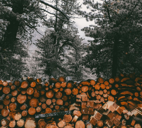 Mahogany Balsam Scented Aroma Beads