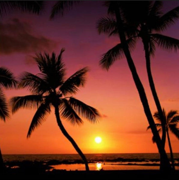 Hawaiian Blast Scented Aroma Beads