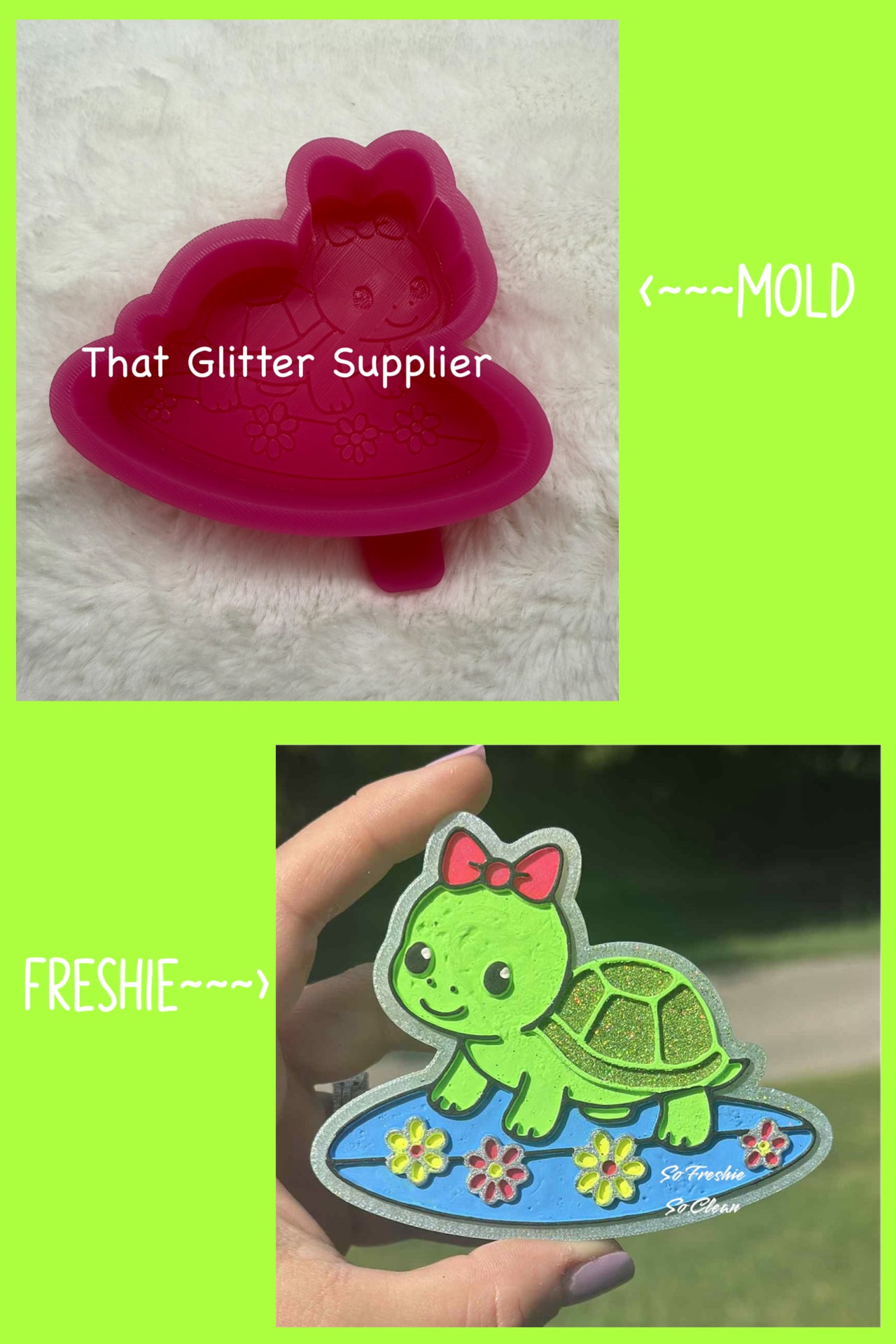 Beach Turtle Freshie Mold