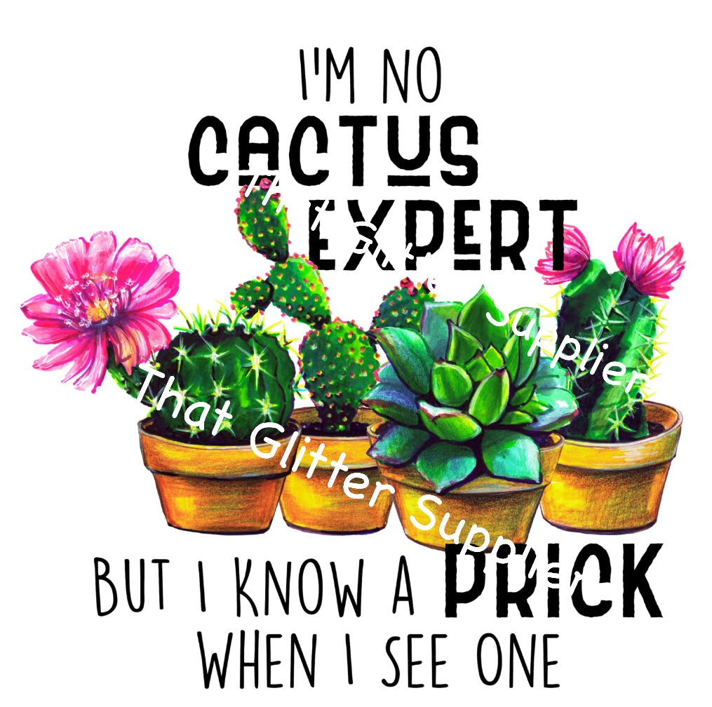 I’m No Cactus Expert Waterslide