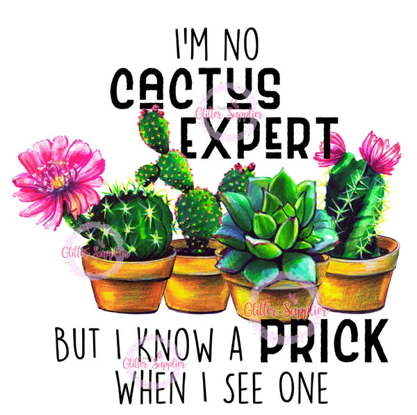 I’m No Cactus Expert Waterslide