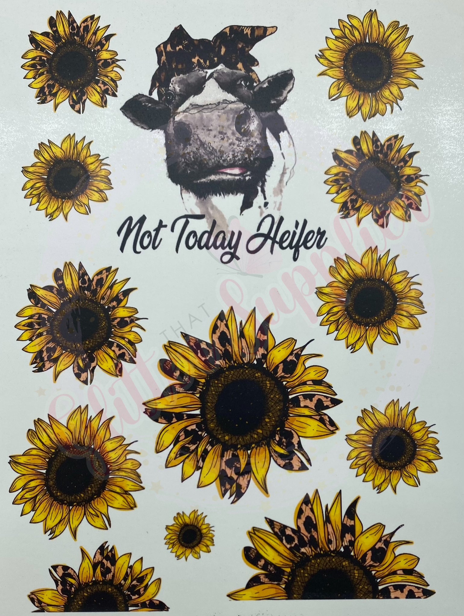 Not Today Heifer Sunflower